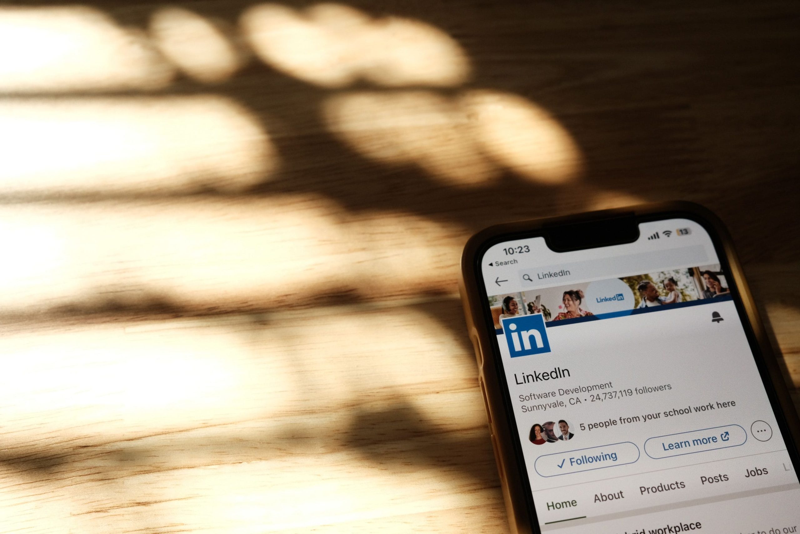 LinkedIn Optimization Services